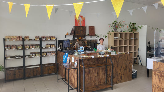 Update Woche 25.-31.03.2024 · Eröffnungswoche