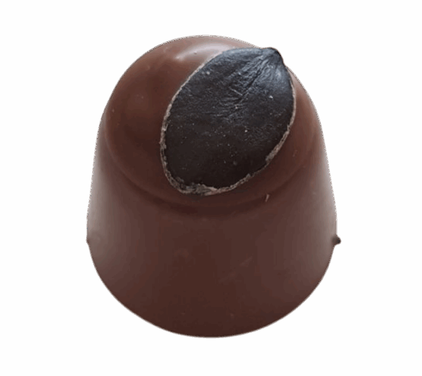 Kürbiskernlikör Einzelpraline • Vollmilchschokolade